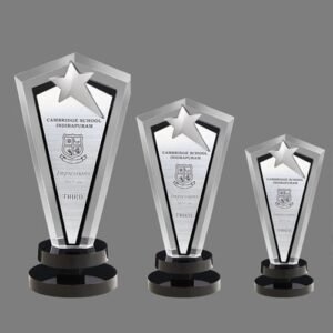 Acrylic Excellence Award