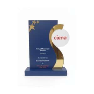value-maximizer-corporate-award-b597