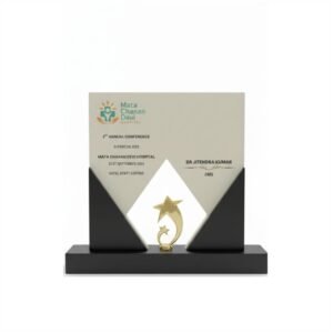 corporate-shooting-star-memento-b591